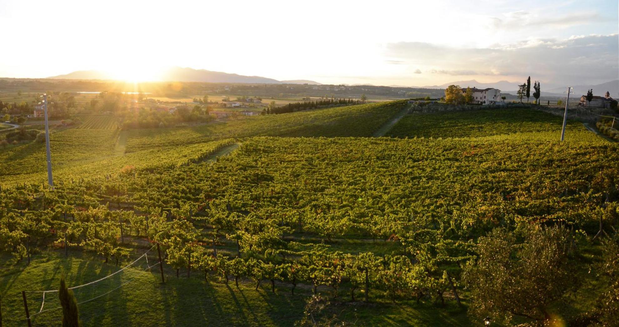 Agriturismo Corte In Poggio Stabbia エクステリア 写真